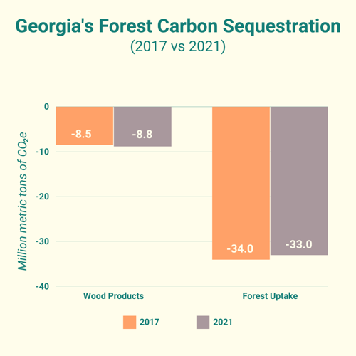 Forest Carbon Sequestration in Georgia