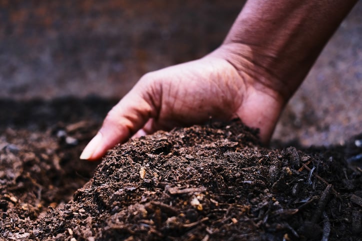 hand in compost